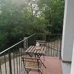Il Ciliegio Di Zoe