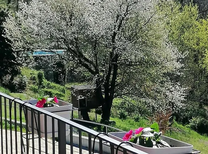 Il Ciliegio Di Zoe 3*