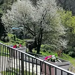 Il Ciliegio Di Zoe 3*